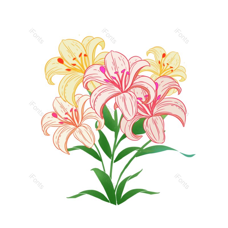 清新图片,花丛元素,花卉PNG,花朵免抠素材